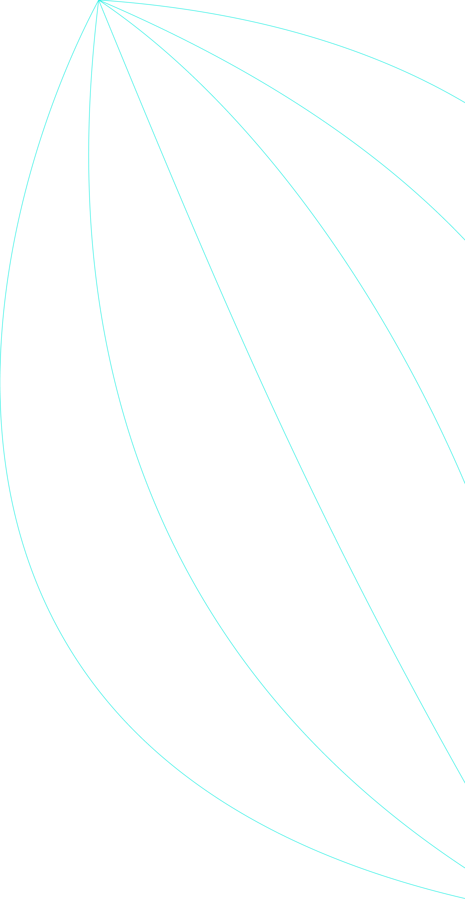 fourthBackgroundVector